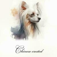 Watercolor illustration of a single dog breed chinese crested. AI generated. Dog portrait. photo