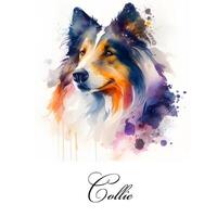 acuarela ilustración de un soltero perro raza collie. ai generado. perro retrato. foto