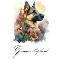 Watercolor illustration of a single dog breed german shepherd with flowers. AI generated. Dog portrait. photo
