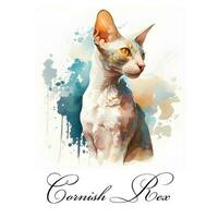 Watercolor illustration of a single cat breed cornish rex. AI generated. Watercolor animal collection of cats. Cat portrait. Illustration of Pet. photo