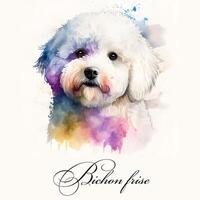 Watercolor illustration of a single dog breed bichon frise. AI generated. Dog portrait. photo