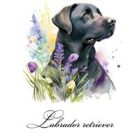 acuarela ilustración de un soltero perro raza negro Labrador perdiguero con flores ai generado. perro retrato. foto