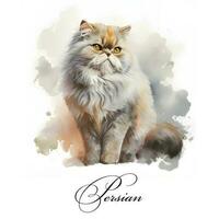 acuarela ilustración de un soltero gato raza persa. ai generado. acuarela animal colección de gatos gato retrato. ilustración de mascota. foto