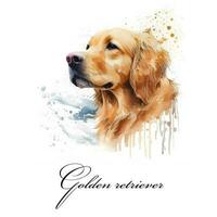 Watercolor illustration of a single dog breed golden retriever. AI generated. Dog portrait. photo