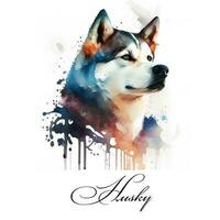Watercolor illustration of a single dog breed husky. AI generated. Dog portrait. photo