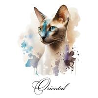 Watercolor illustration of a single cat breed oriental. AI generated. Watercolor animal collection of cats. Cat portrait. Illustration of Pet. photo