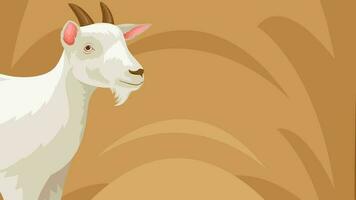 Animation Advertisement Goat. Suitable for Education and Ied Adha Islamic etc. video