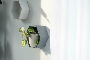 Shelves on the wall in the form of honeycombs with house plants in the white interior of the house. Modern decor Houseplant caring for indoor plant, green home photo