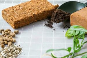 Ingredients for transplanting domestic plants, soil composition, drainage, coconut briquette and coconut chips, vermiculite and peat, a sprout of Adanson's monstera with roots on the table, top view photo