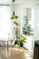 The interior of the house with large windows and home plants round table, chairs, white loft. Houseplant caring for indoor plant, green home photo