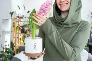 Spring flower hyacinth bloomed at home in a pot in the hands of a woman in the interior of a green house with shelving collections of domestic plants. Home crop production photo