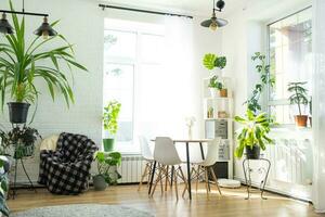 The interior of the house with large windows and home plants round table, chairs, white loft. Houseplant caring for indoor plant, green home photo