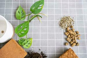 Ingredients for transplanting domestic plants, soil composition, drainage, coconut briquette and coconut chips, vermiculite and peat, a sprout of Adanson's monstera with roots on the table, top view photo