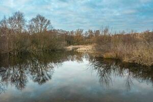 Waalsdorpervlakte, landscape in The Hague, The Netherlands. photo