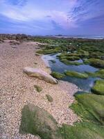 Sunset at the rocky Beach in Gaia, Porto, Portugal. photo