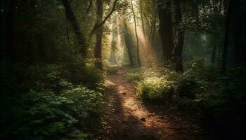 Tranquil forest footpath, mystery in the air generated by AI photo