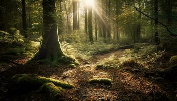 Tranquil footpath winds through lush green forest generated by AI photo