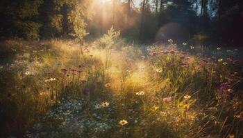 Vibrant wildflowers bloom in tranquil meadow scene generated by AI photo