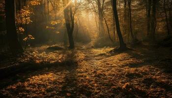 Golden leaves carpet forest floor in autumn generated by AI photo