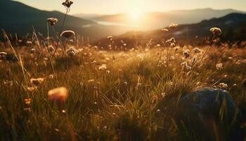 Wildflowers bloom in meadow at sunset glow generated by AI photo
