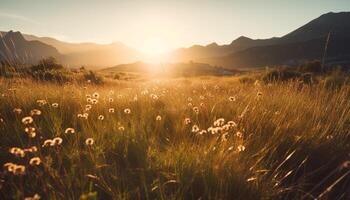 Sunset over meadow, mountain range in background generated by AI photo