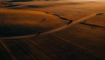 Rolling landscape, wheat fields, sunset, aerial view generated by AI photo