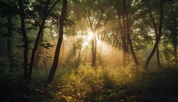 Bright sun shines on tranquil meadow scene generated by AI photo