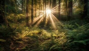 Vibrant green forest, tranquil scene, bright sunlight generated by AI photo