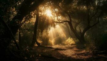 Mysterious autumn forest, foggy beauty in nature generated by AI photo