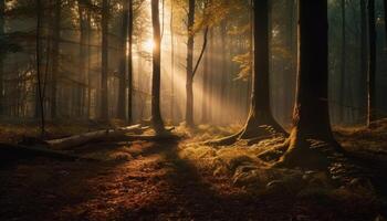 Vibrant autumn leaves adorn spooky forest trail generated by AI photo