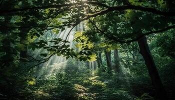 Tranquil forest path leads to mysterious beauty generated by AI photo