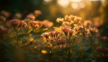 Vibrant wildflowers bloom in the rural meadow generated by AI photo