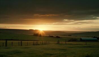 Sunset over rural farm, tranquil meadow beauty generated by AI photo