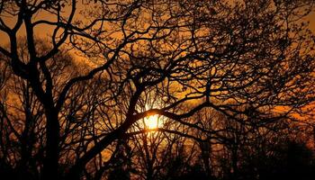 silueta de árbol espalda iluminado por puesta de sol generado por ai foto