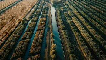 Aerial view shows tranquil autumn farm meadow generated by AI photo