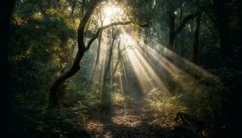 Sunlit forest path reveals autumn mysterious beauty generated by AI photo