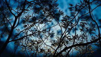 silueta de árbol rama en contra espalda iluminado puesta de sol generado por ai foto