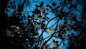 Silhouette of tree branch against vibrant sunset generated by AI photo