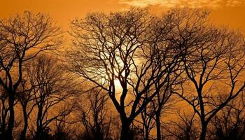 silueta de árbol espalda iluminado por puesta de sol generado por ai foto