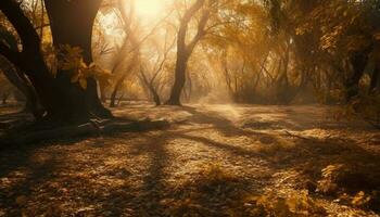 Golden leaves fall in tranquil autumn forest generated by AI photo