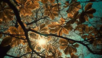 Vibrant autumn leaves illuminate tranquil forest scene generated by AI photo