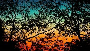 Silhouette tree back lit by vibrant sunset generated by AI photo