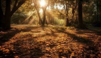 vibrante otoño bosque, retroiluminado por dorado luz de sol generado por ai foto