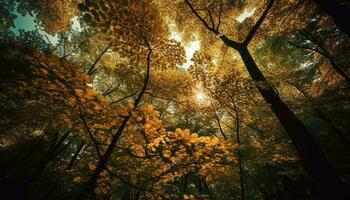 Vibrant autumn foliage illuminates tranquil forest path generated by AI photo