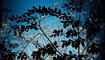 silueta de árbol rama en contra espalda iluminado puesta de sol generado por ai foto