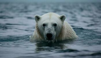 Endangered arctic mammal sniffs for fish underwater generated by AI photo