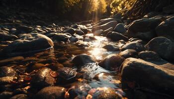 Tranquil forest stream flows beneath sunset sky generated by AI photo