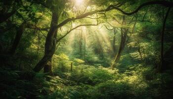 Sunrise illuminates tranquil forest, revealing hidden mystery generated by AI photo