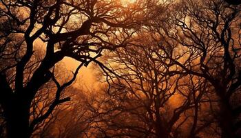 Silhouette of tree branch back lit at sunset generated by AI photo