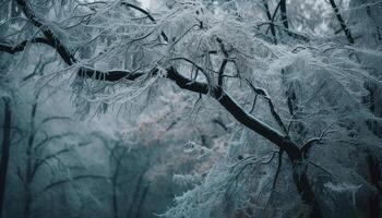 Frozen winter forest, tranquil beauty in nature generated by AI photo